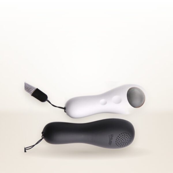 Clicker dog training